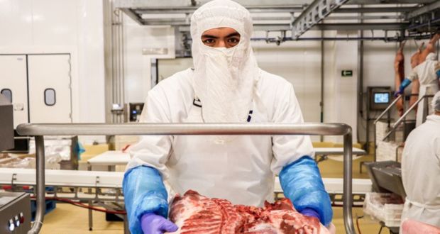 Exportaciones agropecuarias siguen aumentado; suben 11.5%: Agricultura