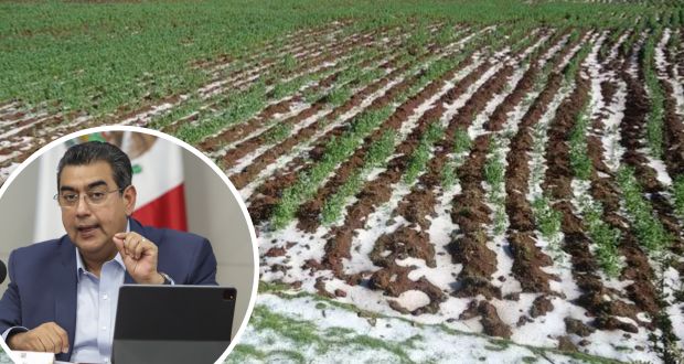 Gobierno de Puebla apoya a productores afectados por lluvias