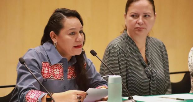 Reformas a Ley Minera limitará impacto ambiental: Semarnat