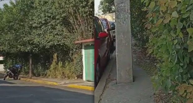 Arbolado sin podar por propietarios obstruye banquetas en Puebla capital