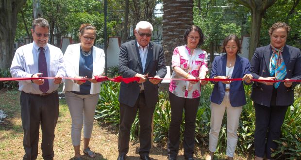 En Coyoacán, jardín-huerto conservará abejas, avispas y colibríes: Agricultura 