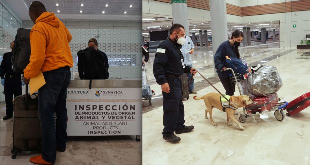 Agricultura fortalece inspecciones en puertos y aeropuertos por Semana Santa