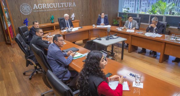 Agricultura y citricultores combate plagas a cultivos de limón