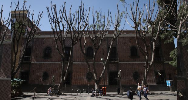 Tras poda de árboles, Hotel Colonial seguirá con comodato de Plaza de la Democracia