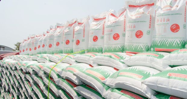 Agricultura entrega fertilizante gratuito a más de 160 mil campesinos