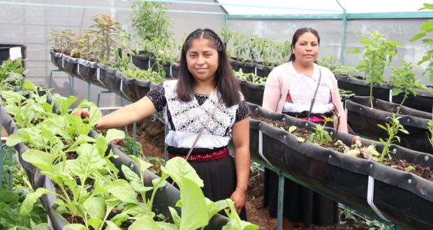 Semarnat y Puebla instalarán 75 módulos de autosuficiencia