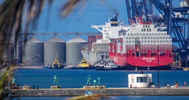 Exportaciones agropecuarias suben 8.1% de enero a marzo: Agricultura