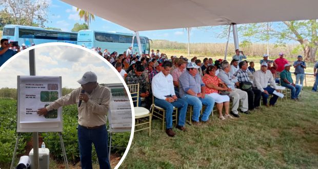 En Belice, Sader capacita a productores de soya, coco y pitahaya