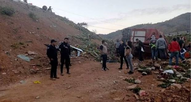 Van 9 poblanos muertos por accidente en Nayarit; chofer está detenido