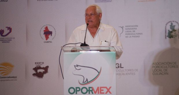 Porcicultura nacional fomenta la economía social y suma a la seguridad alimentaria: Agricultura