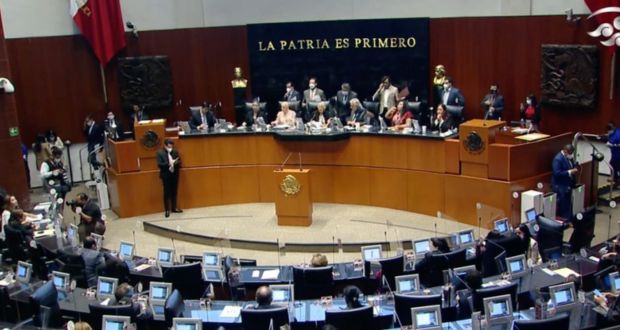 “Ley 3 de 3” es constitucional; impide que deudores alimentarios busquen cargo