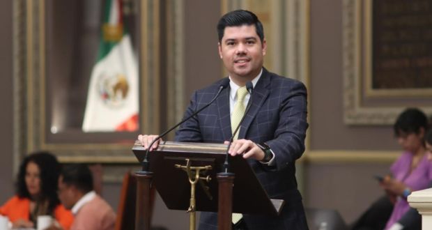 Partido Verde propone refugio para animales ante la caída de ceniza