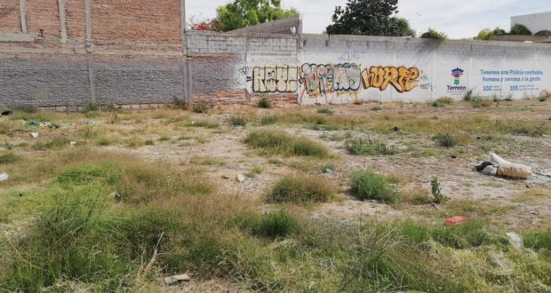 Comuna analiza sanciones de hasta 31 mil pesos por falta de limpieza en predios