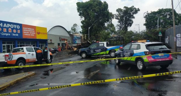 Ayuntamiento confirma caída de 16 árboles en Puebla por lluvias