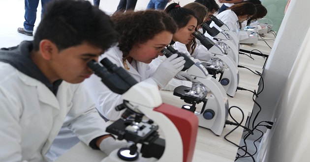 Conahcyt alista plataforma Rizoma para postular a SNI y posgrados