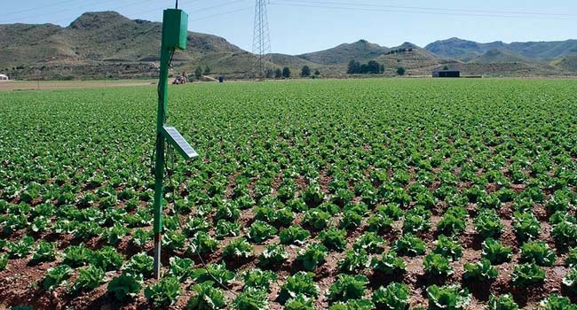 SDR destinará 250 mdp para apoyar a campesinos en reconversión productiva