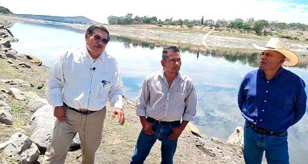 Sequía en Mixteca poblana preocupa a campesinos; cosechas bajan 40% en 2022