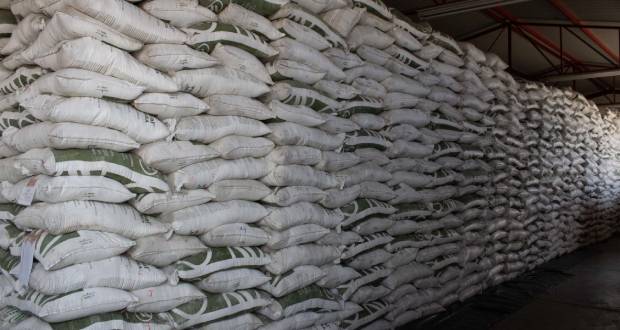 Gobierno ejercerá 700 mdp para el programa Fertilizantes en Puebla