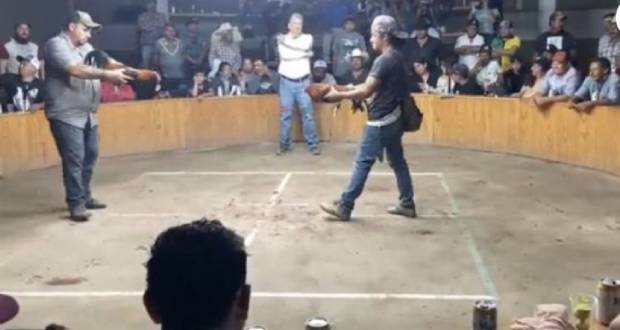 Ataque en pelea de gallos clandestina; 3 muertos y 4 heridos