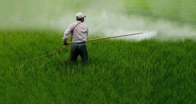 Conahcyt impulsa red nacional para la detección de glifosato