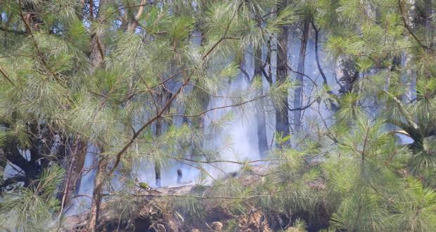 Incendio de Zacatlán, controlado al 95%, Sergio Salomón