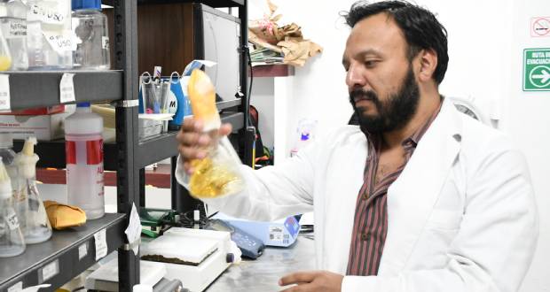 Investigador BUAP colabora en análisis sistemático de Escherichia coli