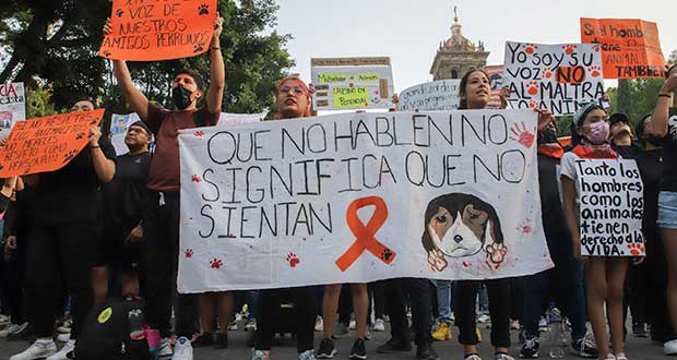En protesta, poblanos exigen respeto a animales y justicia por maltrato