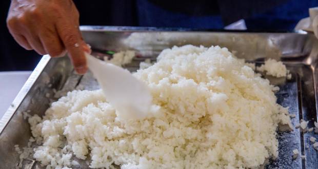 México importará arroz japonés, para incrementar el comercio