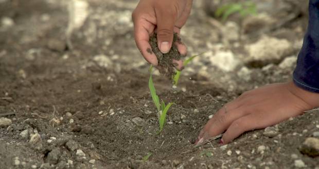 Convocan al 2° Congreso Interamericano de Agua, Suelo y Agrobiodiversidad