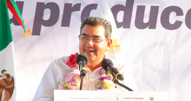 Gobierno dará 400 mdp para detonar agave mezcalero en Sierra Negra y Mixteca