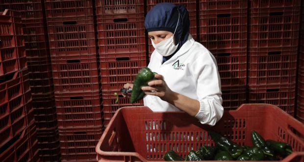 Exportaciones agroalimentarias de México suben 3.53%