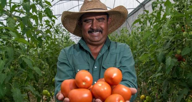 Exportaciones agropecuarias y pesqueras crecen en mayo un 4.9%.