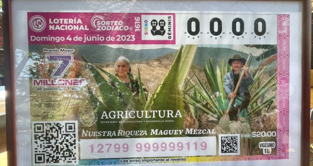 Impulsan producción de mezcal en 13 entidades del país