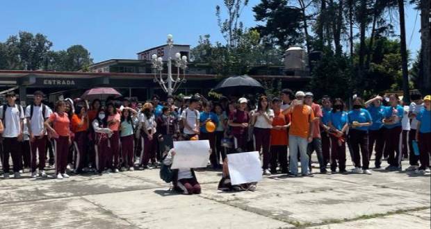 Adolescente de Huauchinango tortura y mata a perrito, causa indignación.