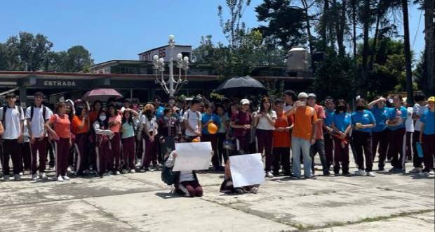Adolescente de Huauchinango mata a cachorro y desata protestas
