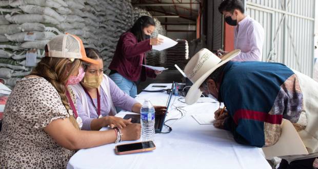 Más de 324 mil hectáreas de cultivos básicos, en Guerrero.
