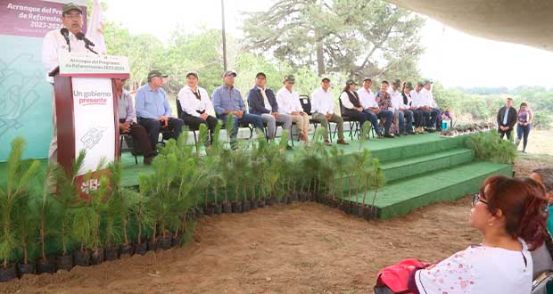 Reforestación en Puebla inicia con 9 millones de árboles; habrá invernaderos 