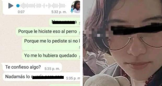 Alumna que mató a perrito en Huauchinango recibirá atención psicológica