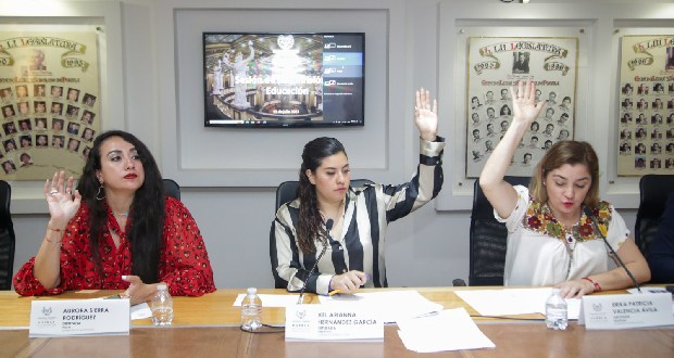 La diputada Xel Arianna Hernández García, señaló que se trabaja en la elaboración de un protocolo para la garantizar que los policías actúen de forma adecuada y no tiene la intención de revivir la Ley Bala