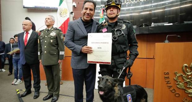 Senador Eduardo Ramírez va por mayor castigo al maltrato animal