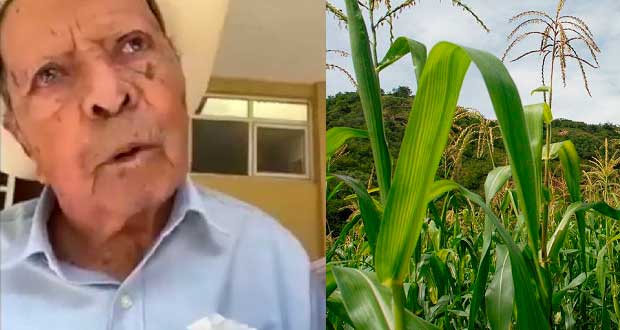 Reforestación, necesaria para atraer lluvia a zonas secas de Puebla: agricultor