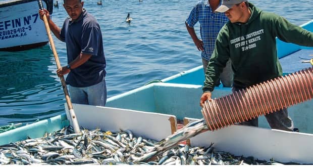 Agricultura actualiza carta pesquera de importancia comercial de México