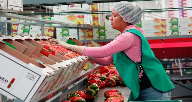 Harán primer Congreso Nacional de Sanidad e Inocuidad Agroalimentaria