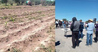 Campesinos piden investigar uso de avionetas en Tehuacán