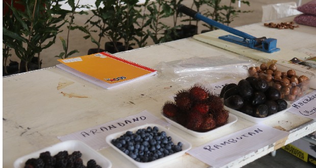 Chapingo, presente en la muestra de Café huitzilteca