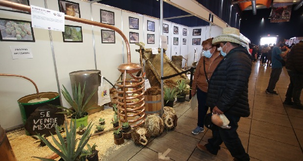 Con impulso de mezcal en Mixteca se detonará región: Céspedes