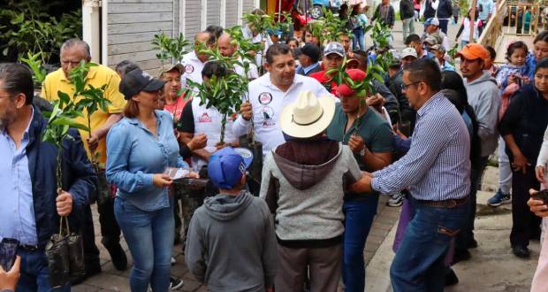 Armenta entrega nogales y limones en la Sierra Madre Oriental
