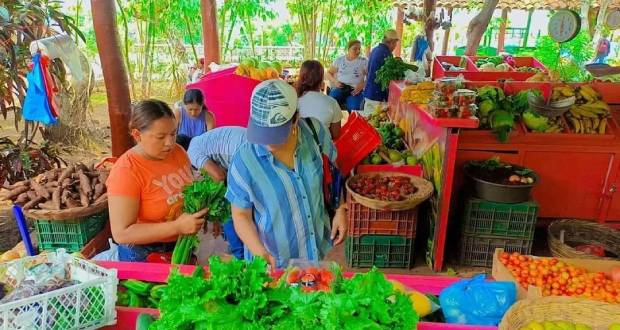 México produce más de 40.2 millones de toneladas de frutas y hortalizas