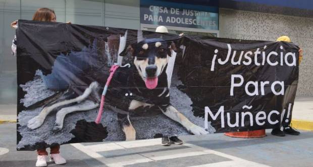 Vinculan a proceso a menor, por caso de zoofilia en Atlixco