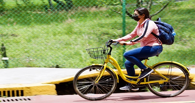10 años desde que la BUAP instituyó el programa de Lobobicis